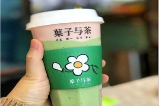 加盟葉子與茶需多少費(fèi)用？冰淇淋加盟機(jī)遇解析